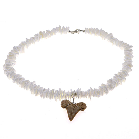 Natural Shark Tooth Necklace for Boys