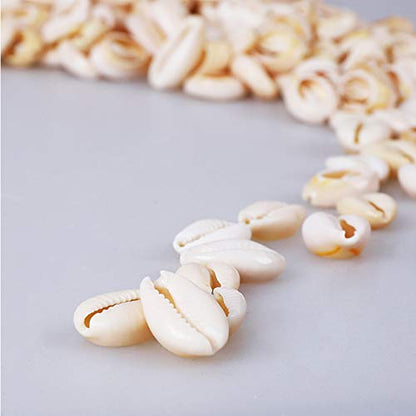 150-Piece White Cowrie Shell Beads - Natural and Strong - Smooth Cut Oval